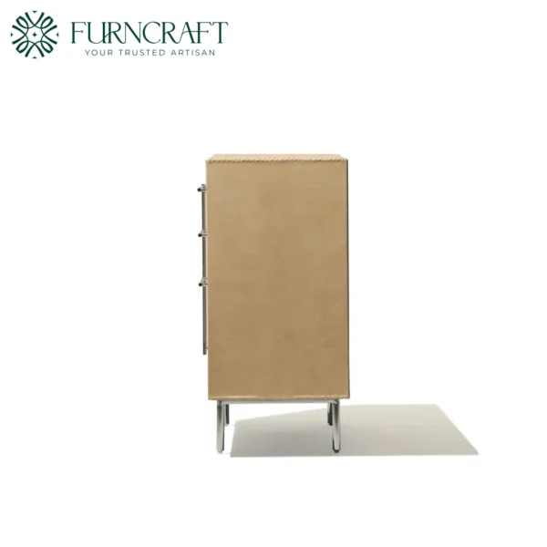 Trunk Media Cabinet